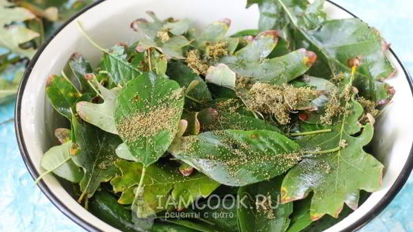 квашеные огурцы без стерилизации на зиму