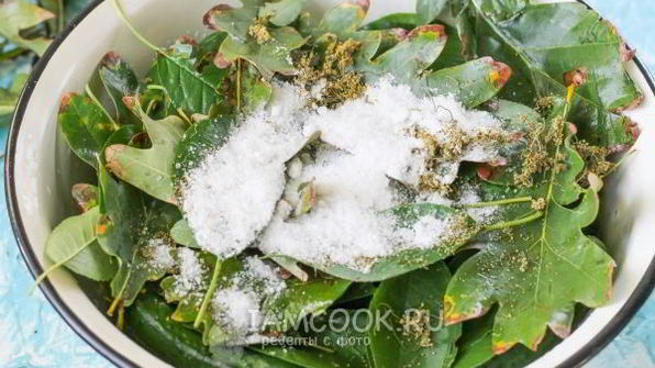 квашеные огурцы без стерилизации на зиму