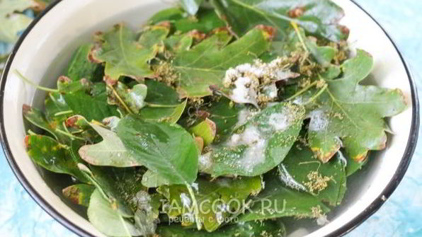 квашеные огурцы без стерилизации на зиму