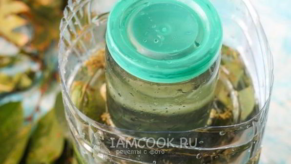 квашеные огурцы без стерилизации на зиму