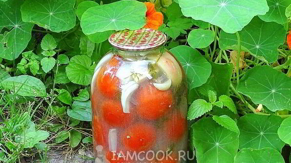 квашеные помидоры в банках