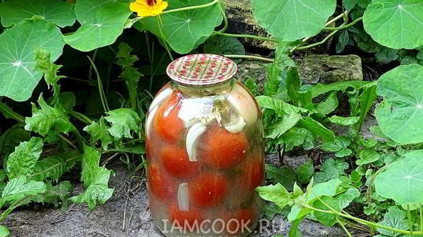 квашеные помидоры в банках