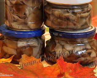 Маринованные опята