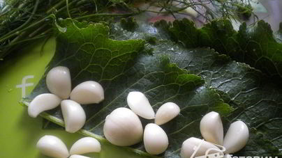 Кабачки маринованные по-болгарски