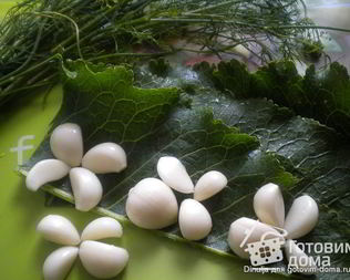 Кабачки маринованные по-болгарски