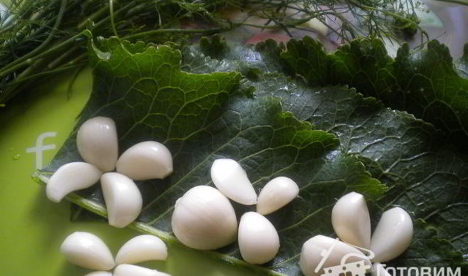 Кабачки маринованные по-болгарски