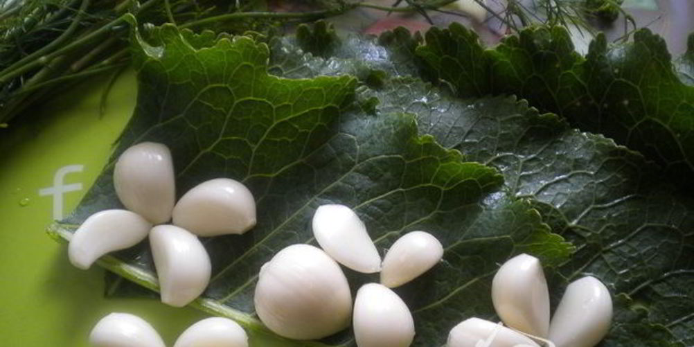 Рецепт кабачки маринованные по-болгарски