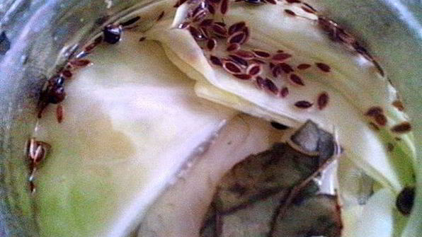 капуста маринованная пластинками