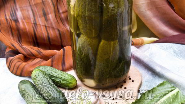 хрустящие маринованные огурцы в банке