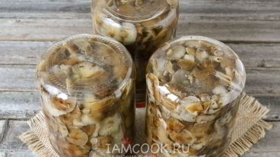 Маринование опят на зиму
