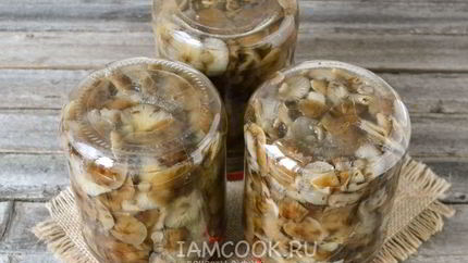 Маринование опят на зиму