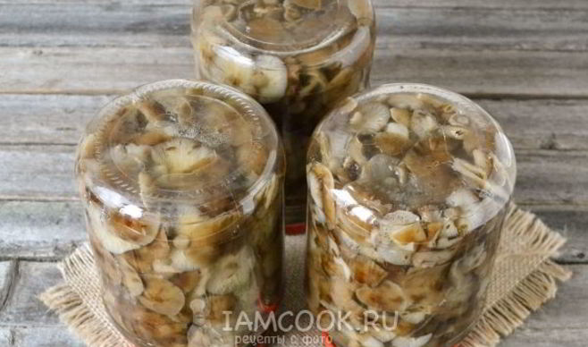 Маринование опят на зиму
