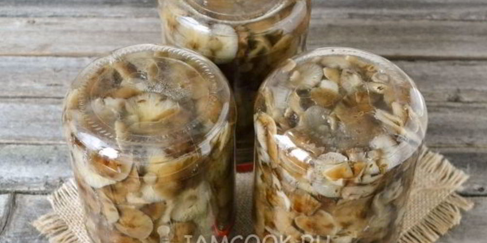 Рецепт маринование опят на зиму