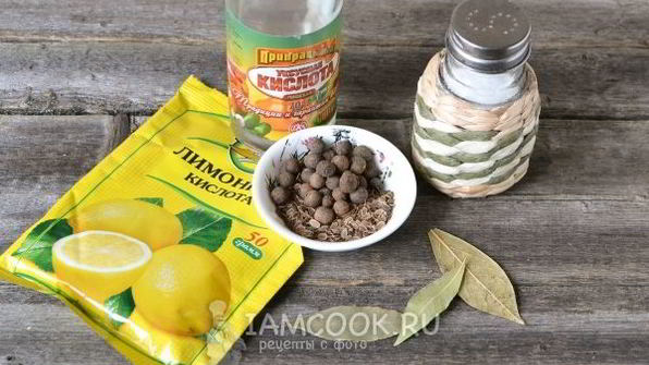 маринование опят на зиму