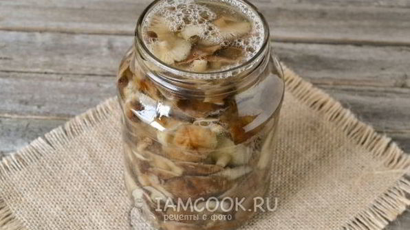 маринование опят на зиму