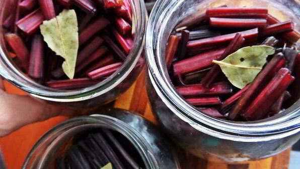 маринование свекольных стебельков