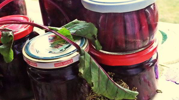 маринование свекольных стебельков