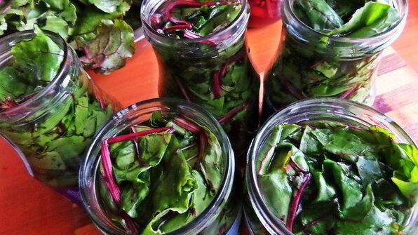 маринование свекольных стебельков