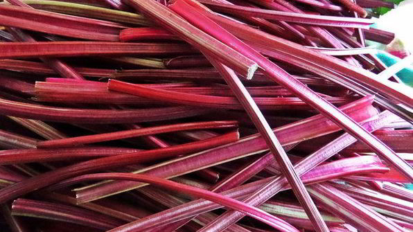 маринование свекольных стебельков