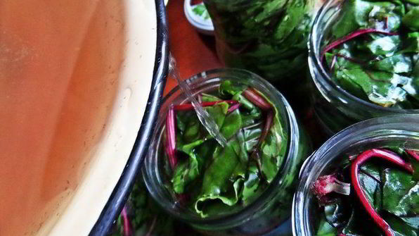 маринование свекольных стебельков