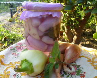Маринованный лук с перцем и базиликом