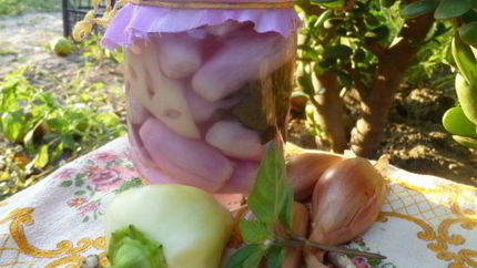 Маринованный лук с перцем и базиликом