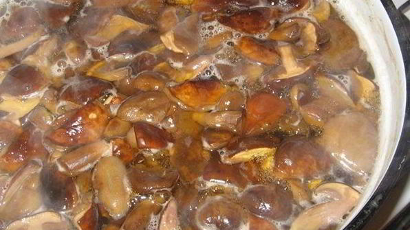 маринованные грибы