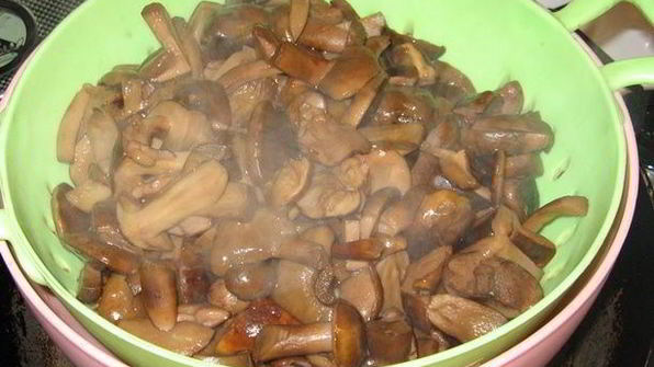 маринованные грибы