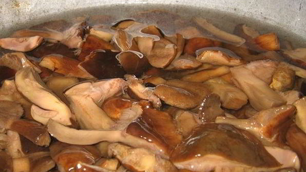 маринованные грибы