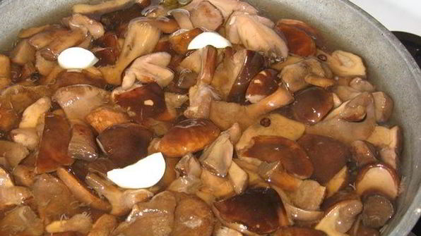 маринованные грибы