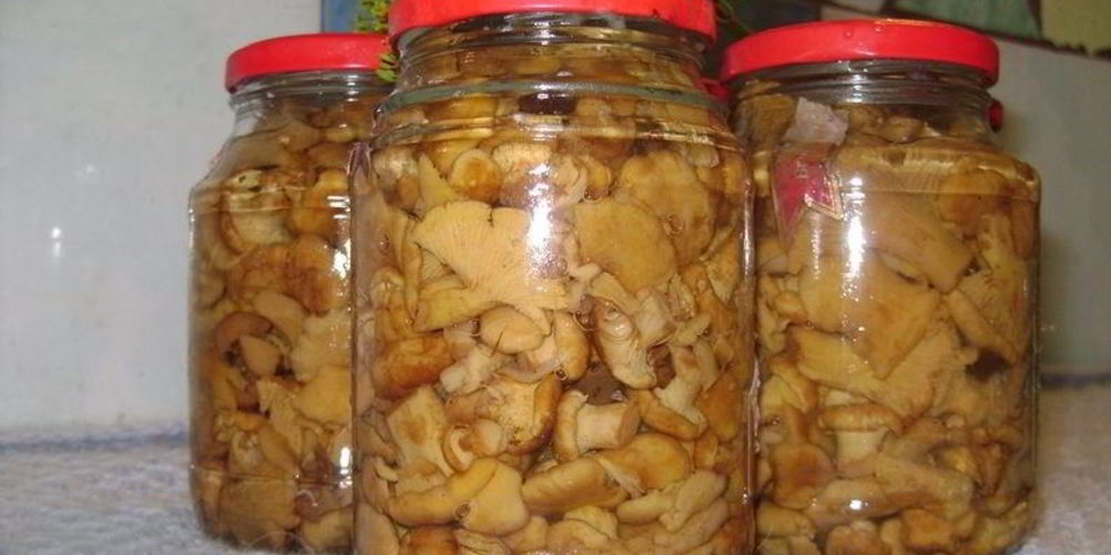 Рецепт маринованные грузди жареные