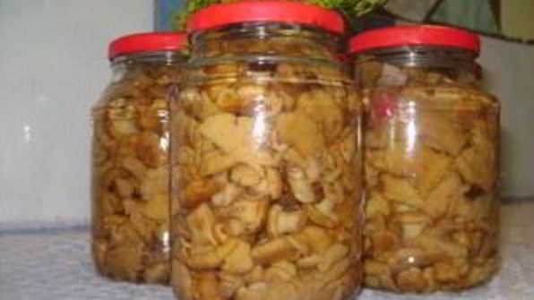 маринованные грузди жареные