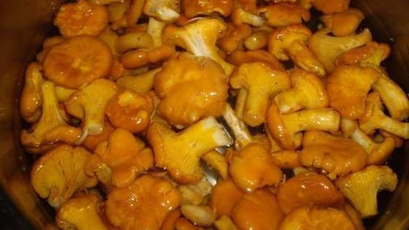 маринованные лисички