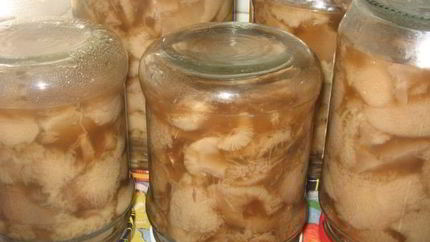 Маринованные маслята быстро