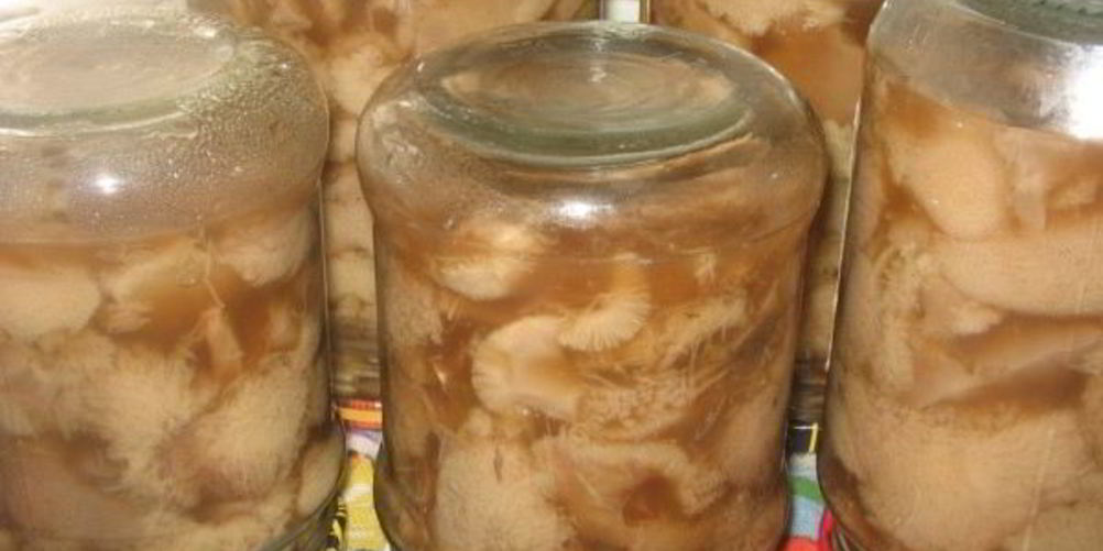 Рецепт маринованные маслята быстро
