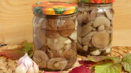 Маринованные маслята