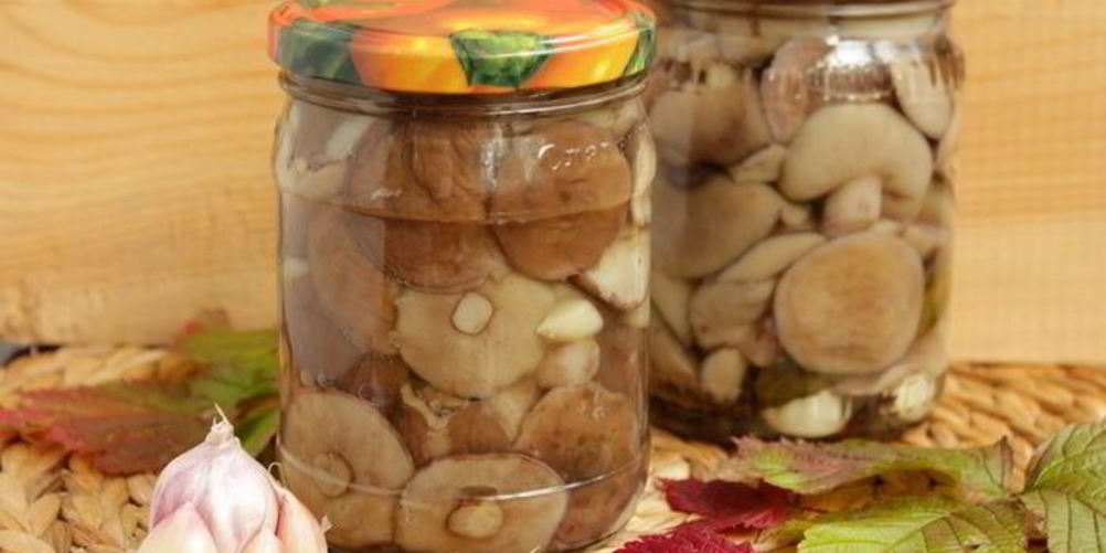 Рецепт маринованные маслята