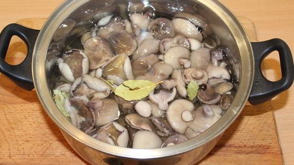 маринованные маслята