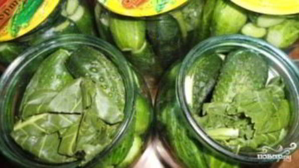 маринованные огурцы без уксуса