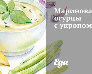 Маринованные огурцы с укропом