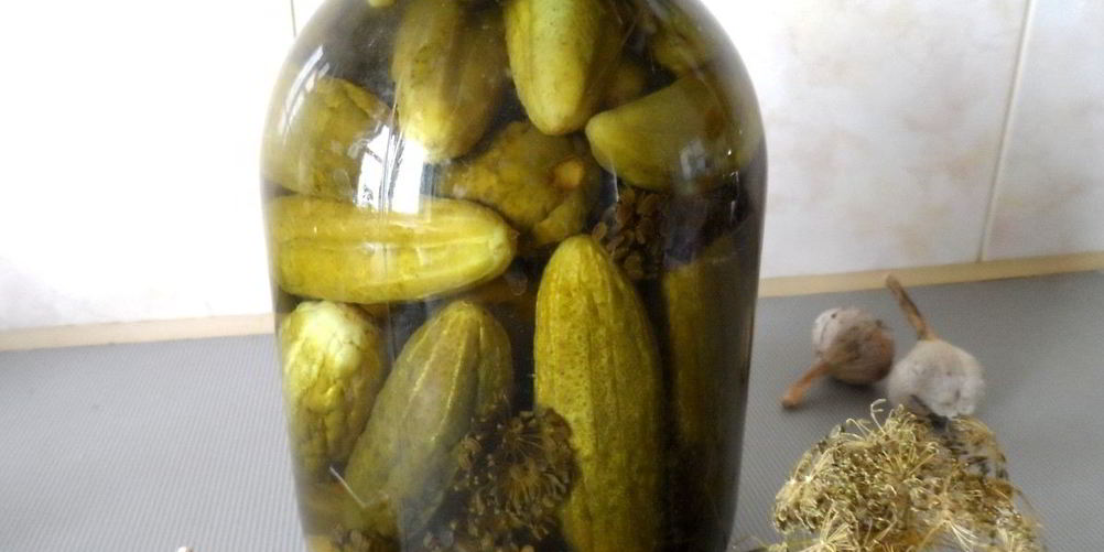 Рецепт маринованные огурцы