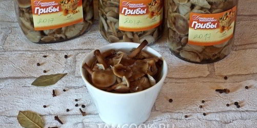 Рецепт маринованные опята бабушкины