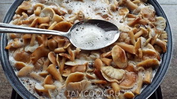 маринованные опята бабушкины