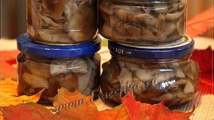 Маринованные опята