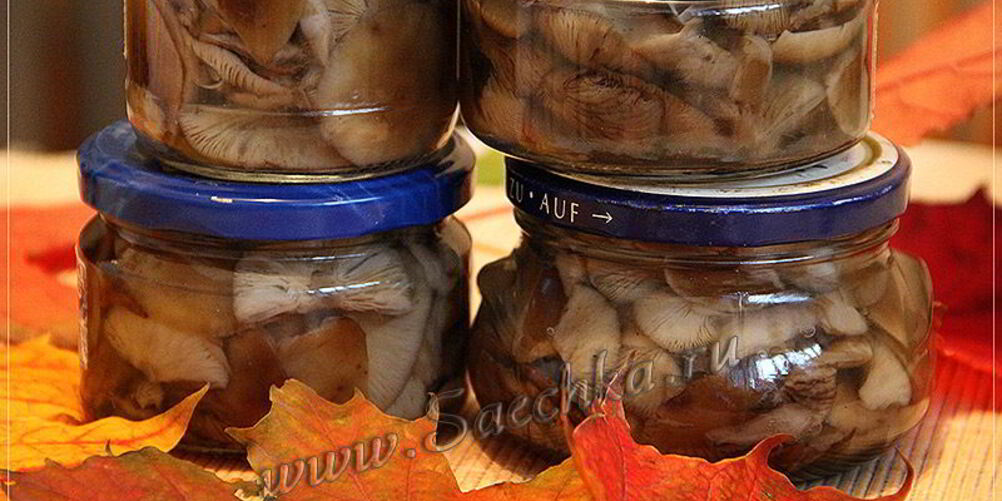 Рецепт маринованные опята