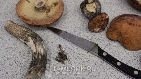 маринованные подосиновики