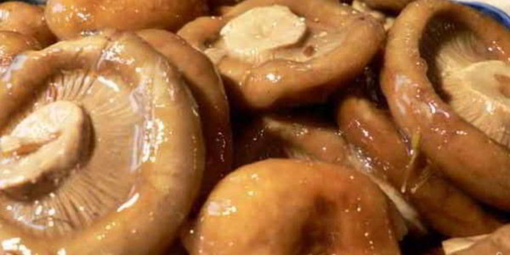 Рецепт маринованные рыжики