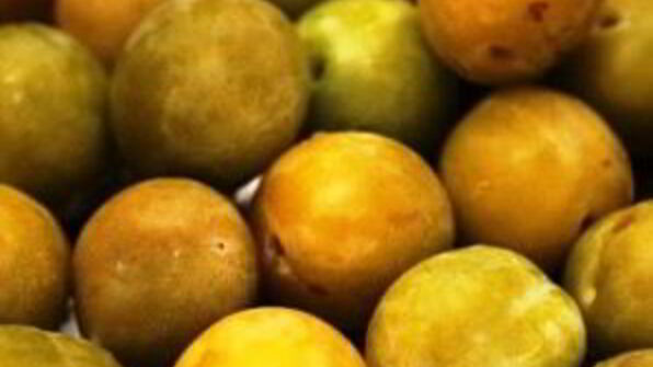 маринованные сливы