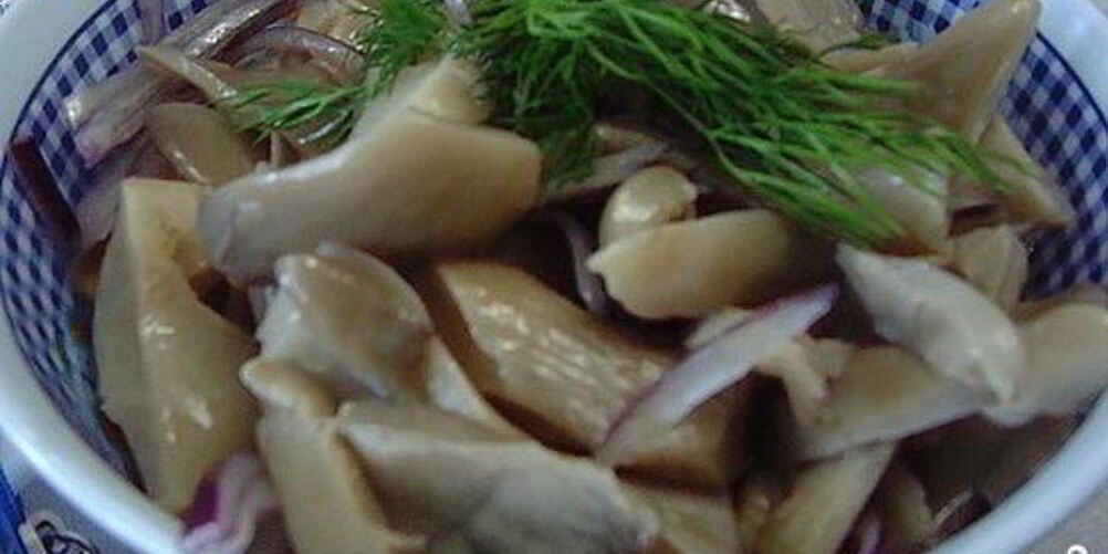 Рецепт маринованные вешенки на зиму