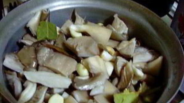 маринованные вешенки на зиму